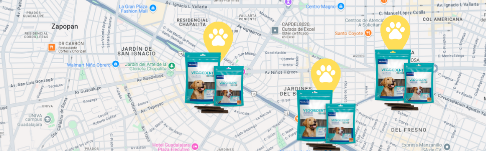 Encuentra tu clínica veterinaria más cercana 